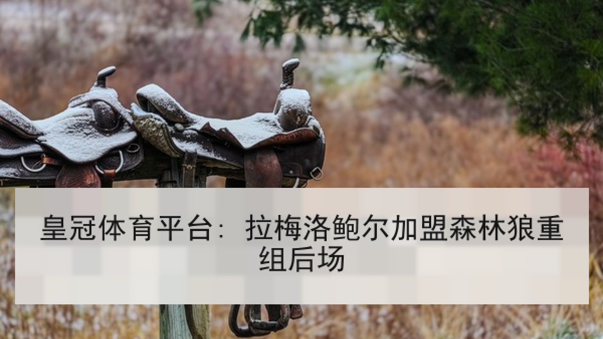 皇冠体育平台: 拉梅洛鲍尔加盟森林狼重组后场